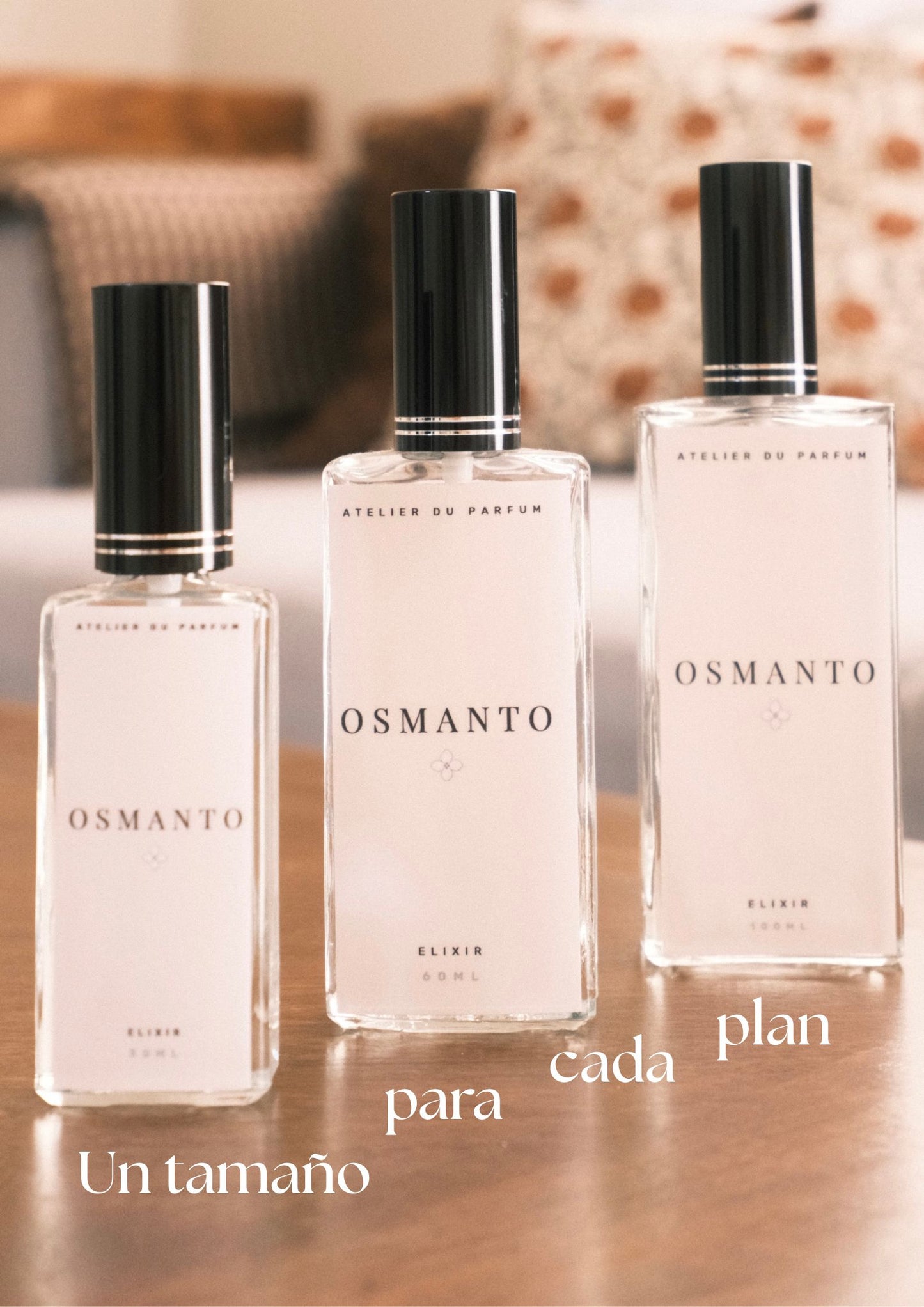 O.01F Coco Mademoiselle - Chanel