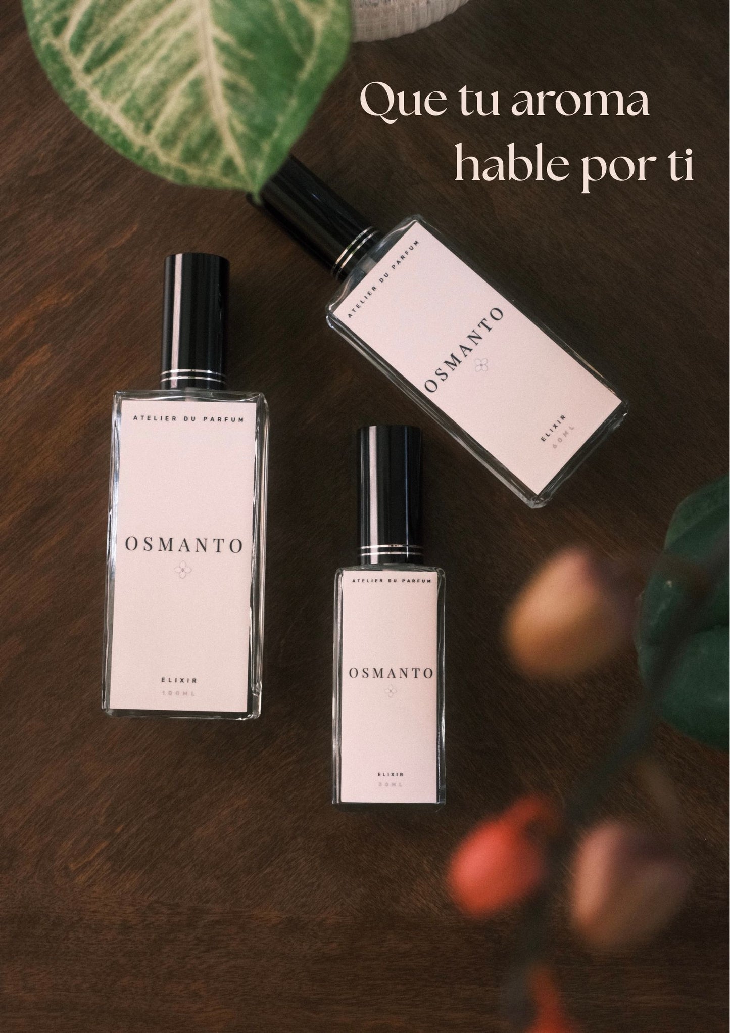 O.01F Coco Mademoiselle - Chanel