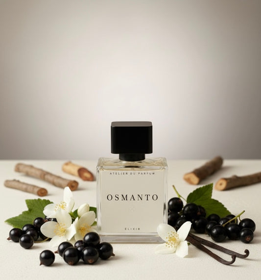 O.06F Donna Born In Roma - Valentino